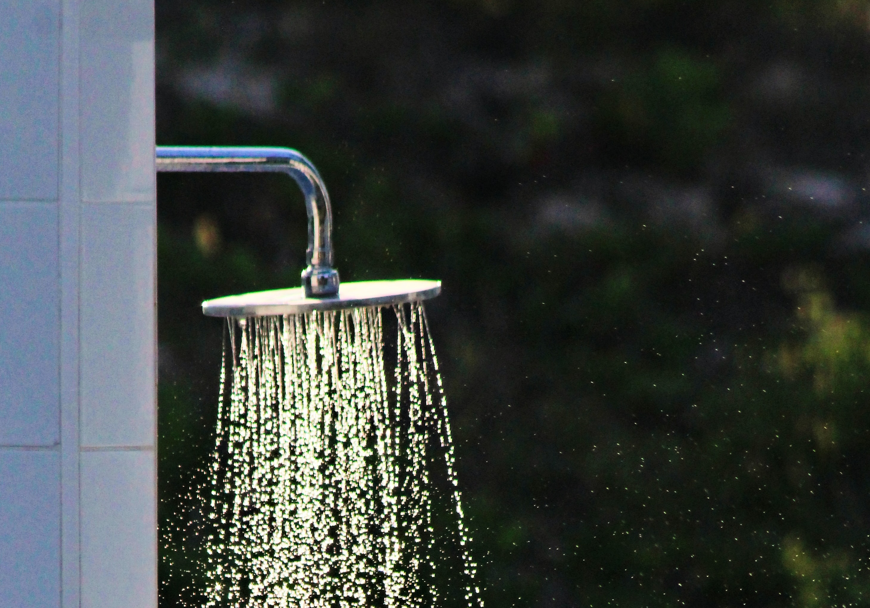 Photo of a shower head with water coming out